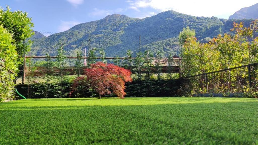 IntrobioLa Casa Di Sara In Valsassinaアパートメント エクステリア 写真